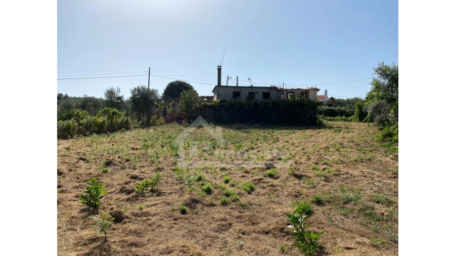 Quinta T1 para Venda em Graça Foto 8