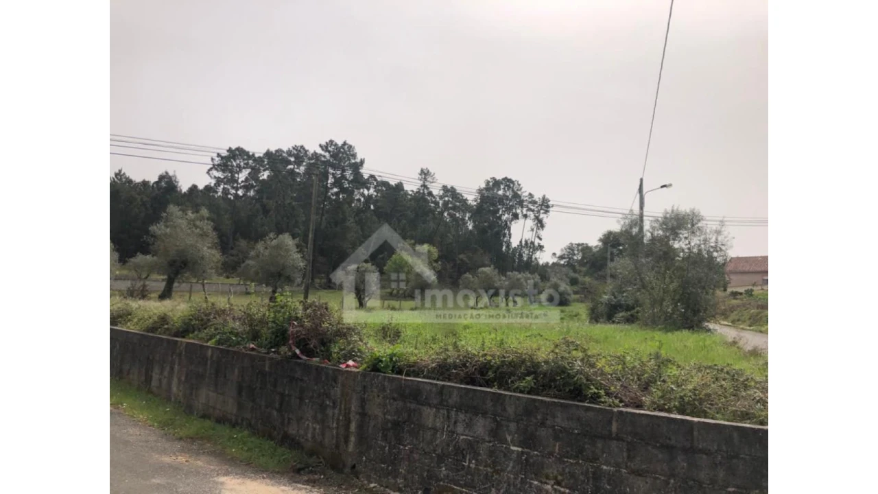 Terreno Agricola ou Rústico para Venda em Ansião Foto 2