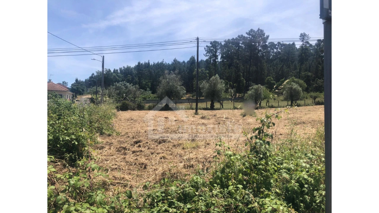 Terreno Agricola ou Rústico para Venda em Ansião Foto 3