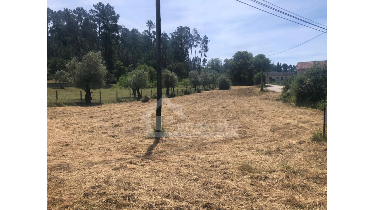 Terreno Agricola ou Rústico para Venda em Ansião Foto 9