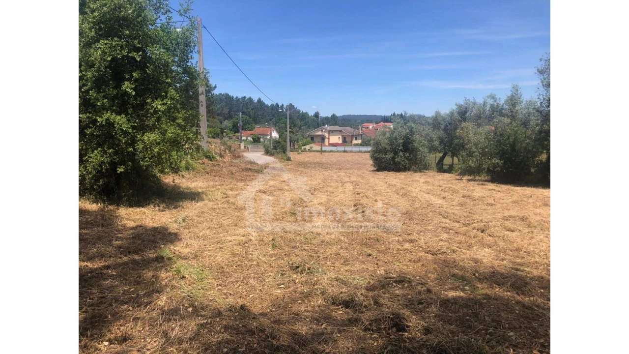 Terreno Agricola ou Rústico para Venda em Ansião Foto 13
