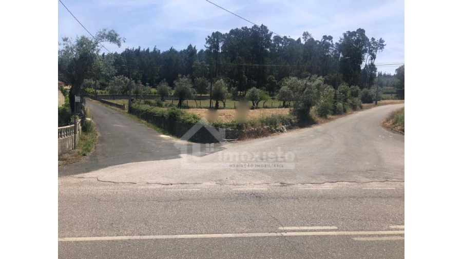 Terreno Agricola ou Rústico para Venda em Ansião Foto 1