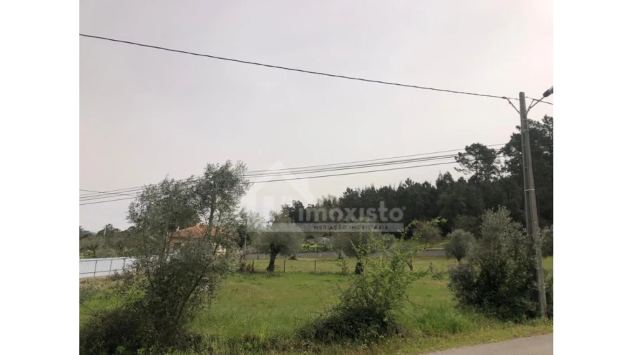 Terreno Agricola ou Rústico para Venda em Ansião Foto 4