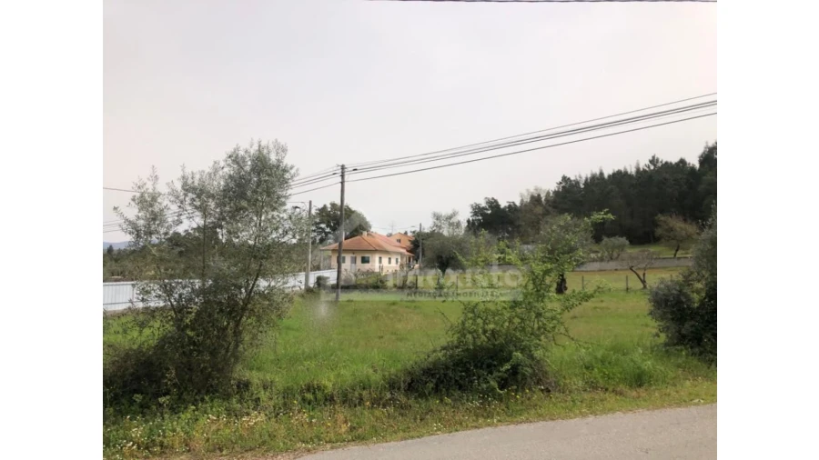 Terreno Agricola ou Rústico para Venda em Ansião Foto 5