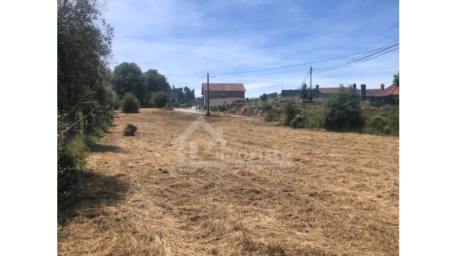 Terreno Agricola ou Rústico para Venda em Ansião Foto 8