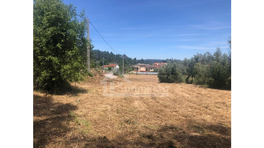 Terreno Agricola ou Rústico para Venda em Ansião Foto 12