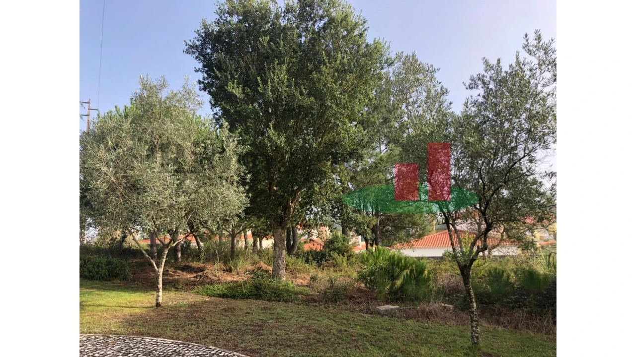 Terreno para Venda em Nadadouro Foto 6