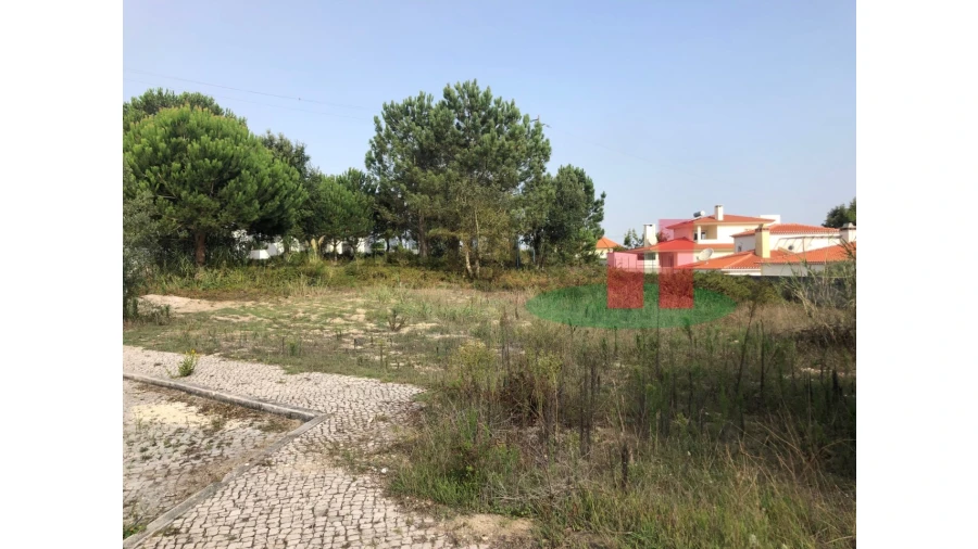 Terreno para Venda em Nadadouro Foto 3