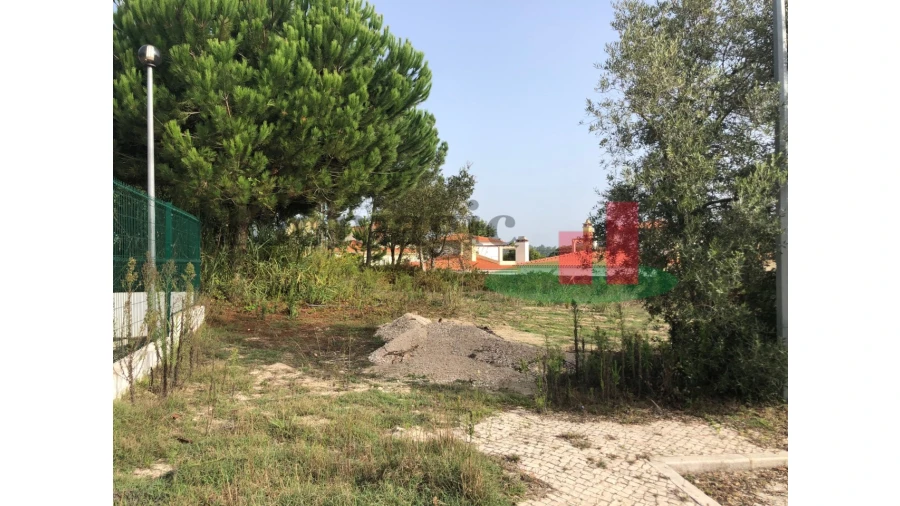 Terreno para Venda em Nadadouro Foto 4