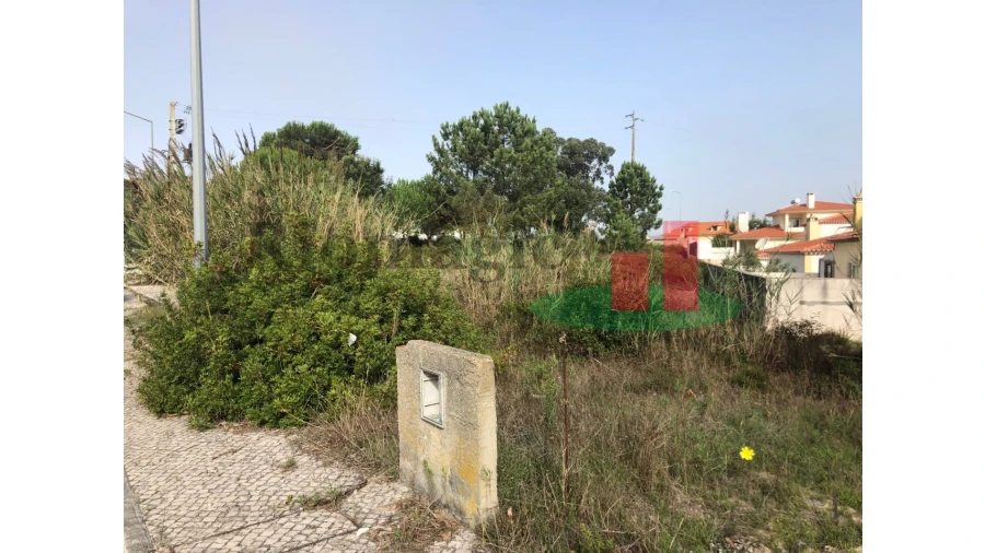 Terreno para Venda em Nadadouro Foto 5