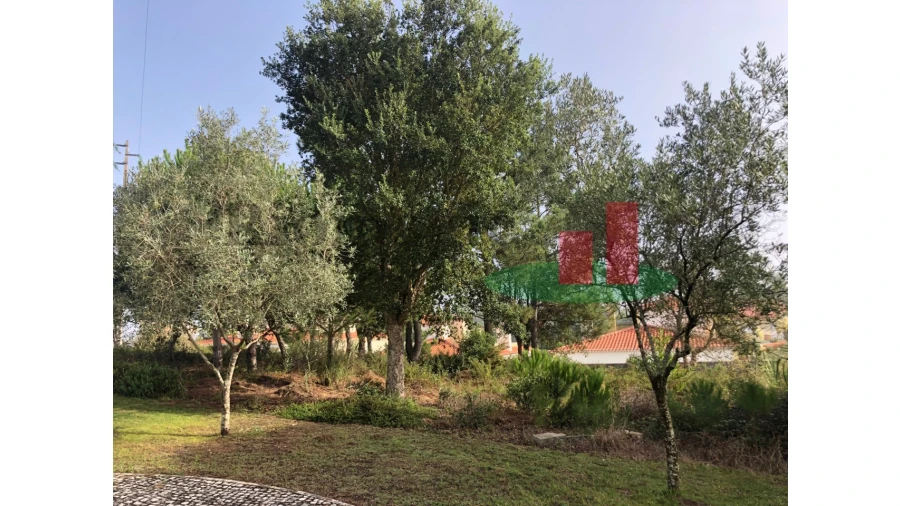 Terreno para Venda em Nadadouro Foto 6