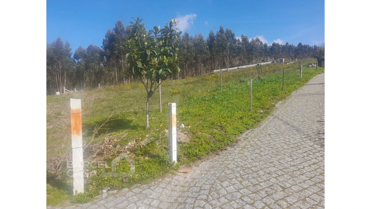 Terreno para Venda em Vila Cova e Feitos Foto 5