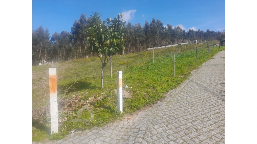 Terreno para Venda em Vila Cova e Feitos Foto 5