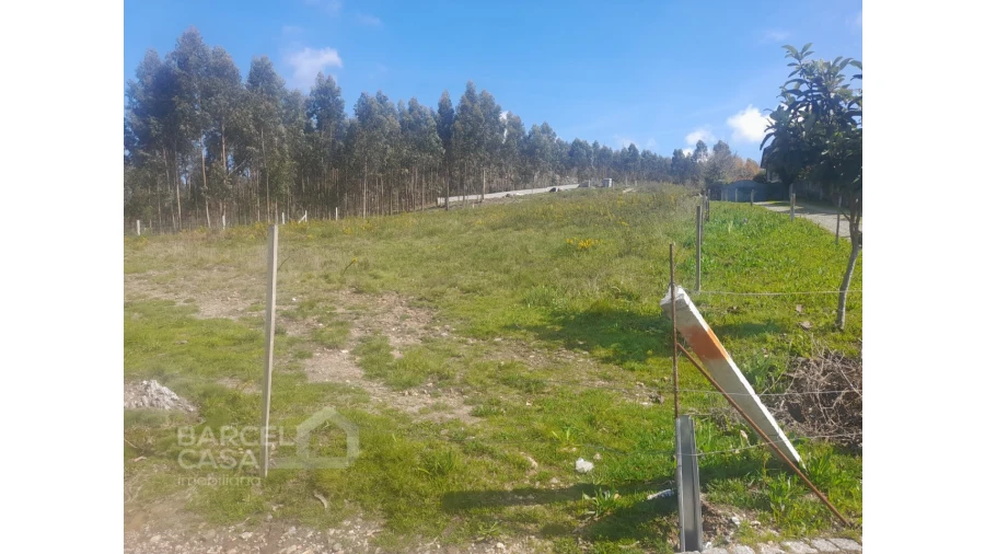 Terreno para Venda em Vila Cova e Feitos Foto 6