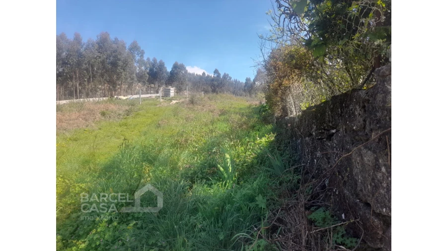 Terreno para Venda em Vila Cova e Feitos Foto 12