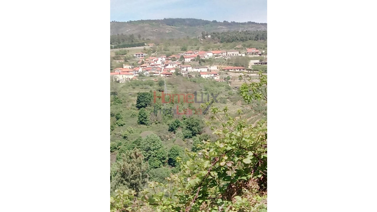 Terreno Agricola ou Rústico para Venda em Avões Foto 1