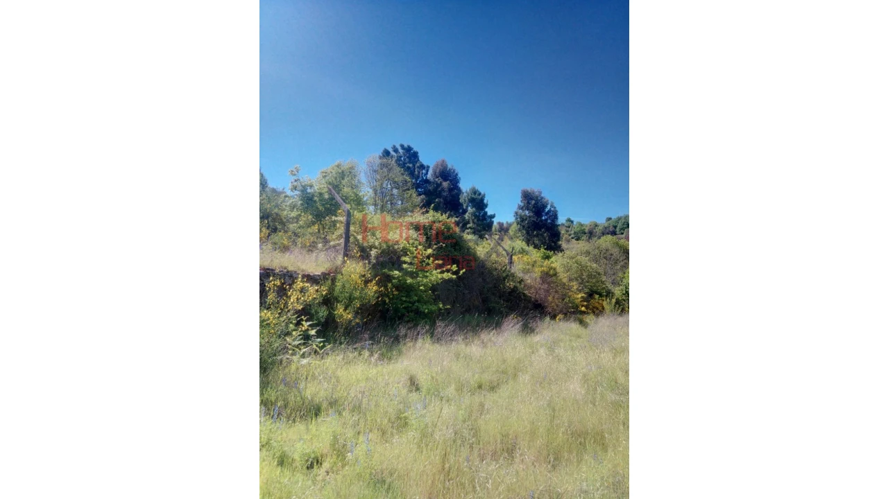 Terreno Agricola ou Rústico para Venda em Avões Foto 3