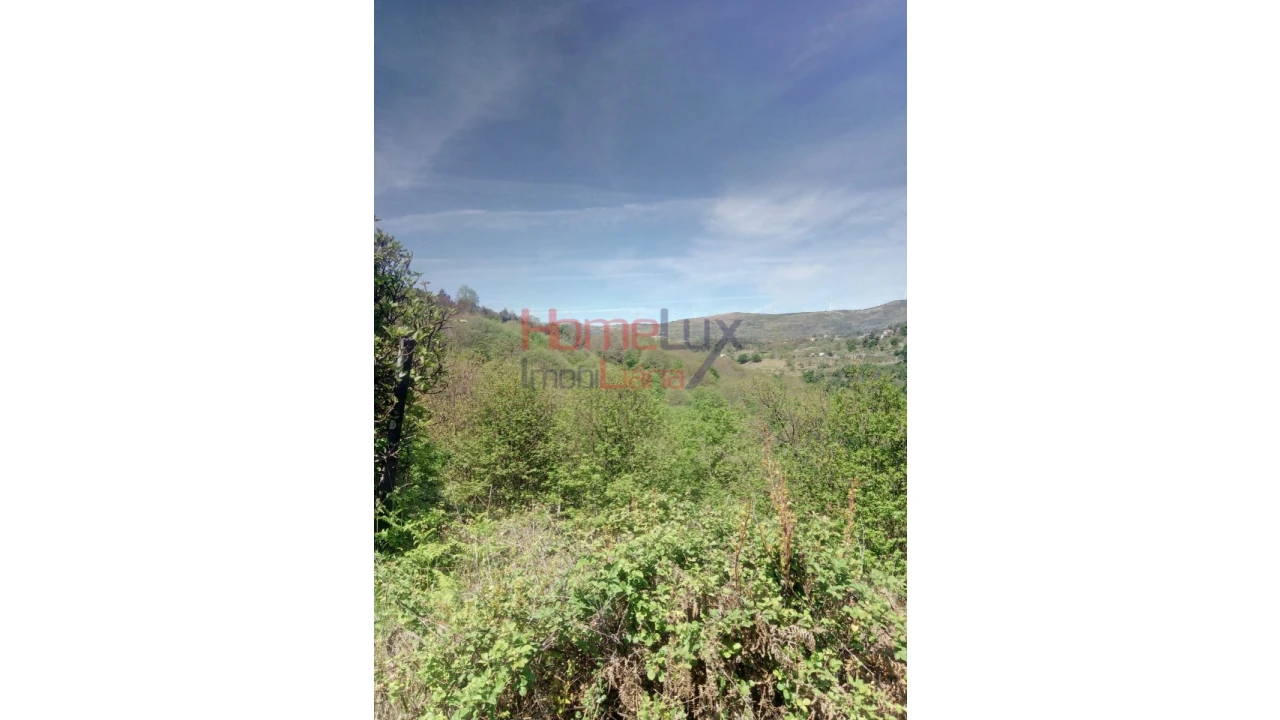 Terreno Agricola ou Rústico para Venda em Avões Foto 13