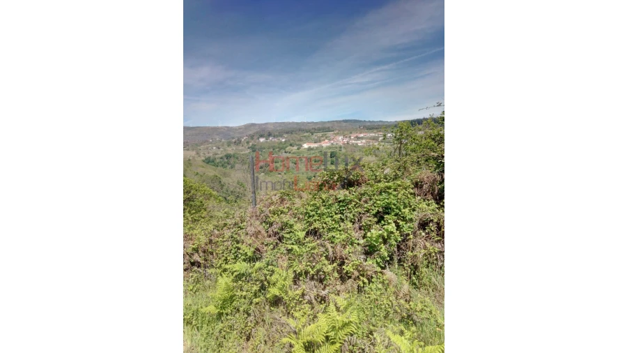 Terreno Agricola ou Rústico para Venda em Avões Foto 4