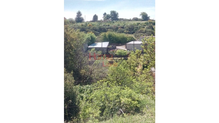 Terreno Agricola ou Rústico para Venda em Avões Foto 5