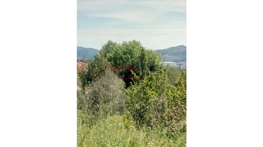 Terreno Agricola ou Rústico para Venda em Avões Foto 6