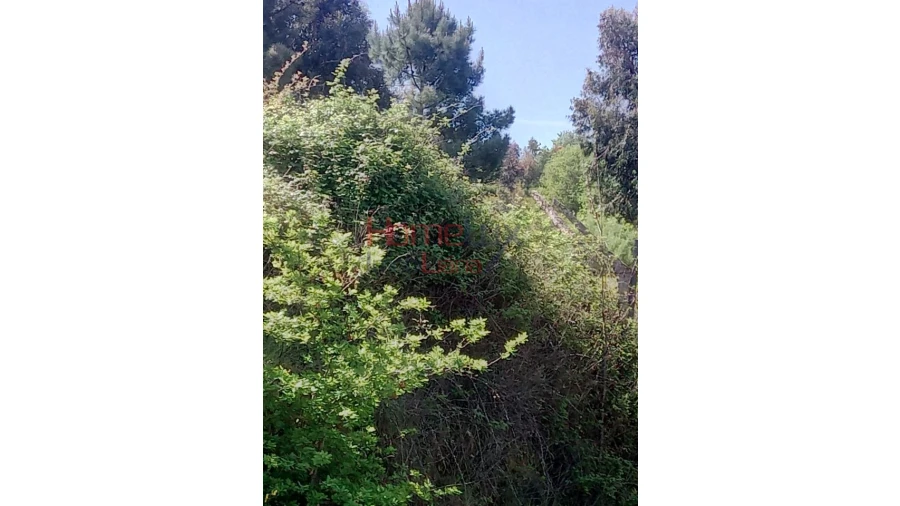 Terreno Agricola ou Rústico para Venda em Avões Foto 7