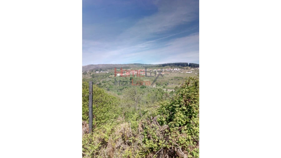 Terreno Agricola ou Rústico para Venda em Avões Foto 2