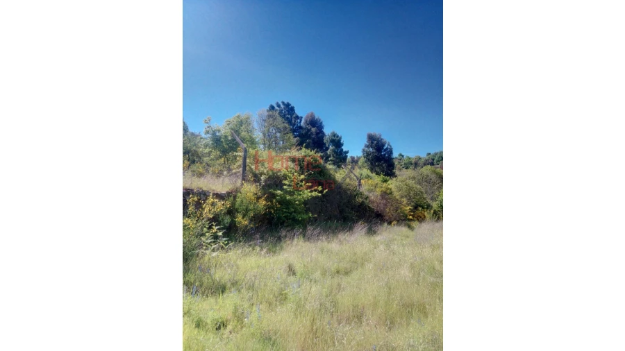 Terreno Agricola ou Rústico para Venda em Avões Foto 3