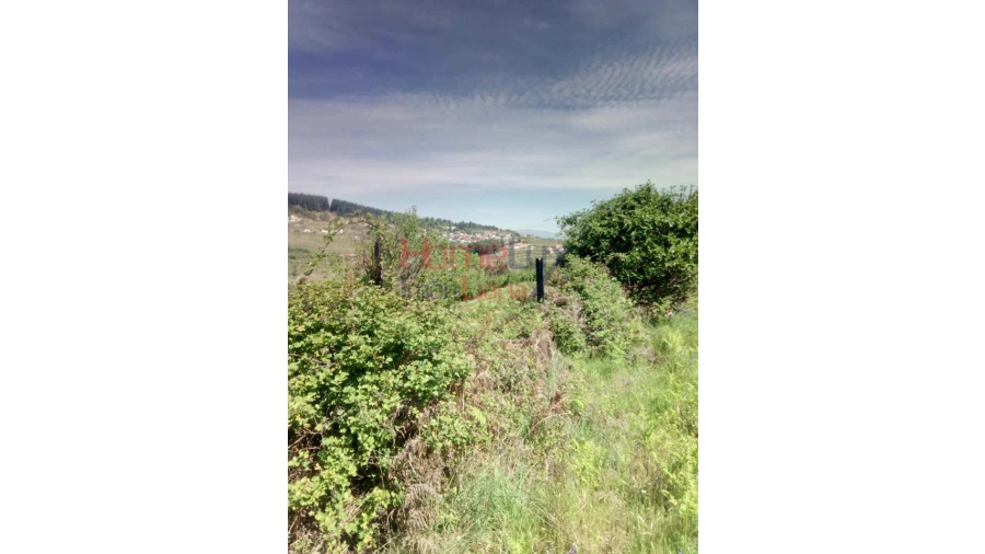 Terreno Agricola ou Rústico para Venda em Avões Foto 12