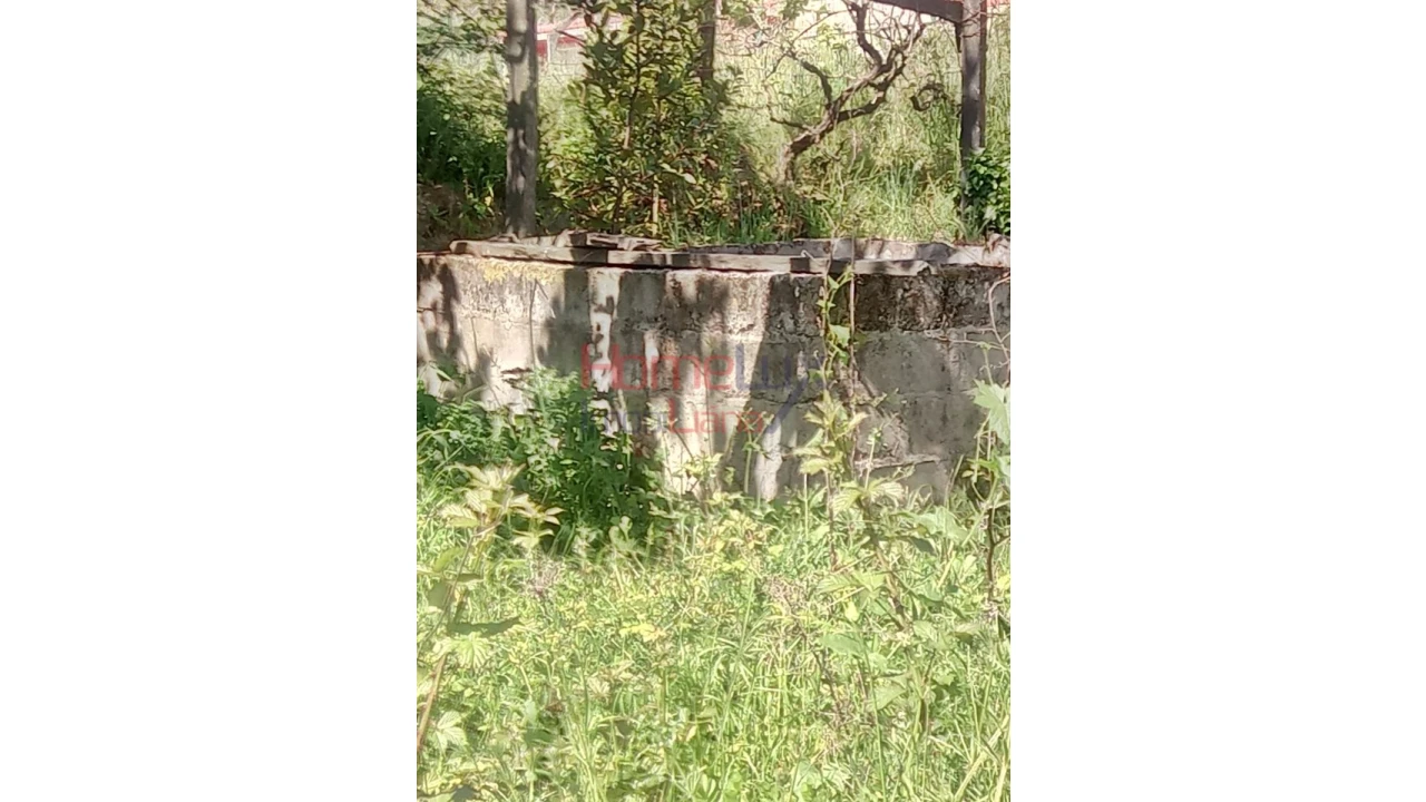 Terreno Agricola ou Rústico para Venda em Avões Foto 6