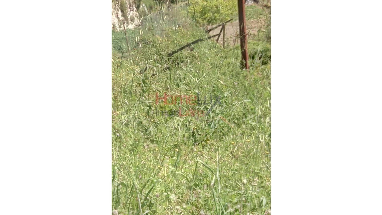 Terreno Agricola ou Rústico para Venda em Avões Foto 4