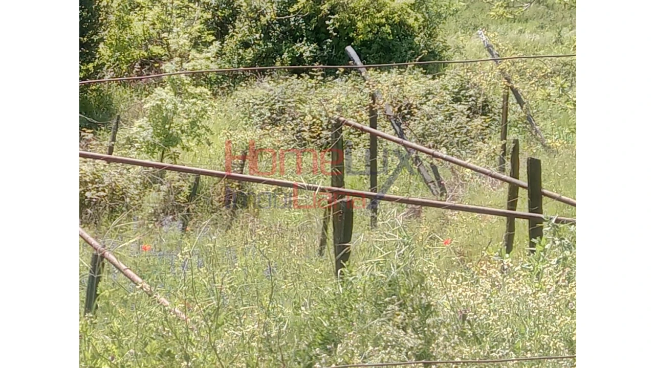 Terreno Agricola ou Rústico para Venda em Avões Foto 3