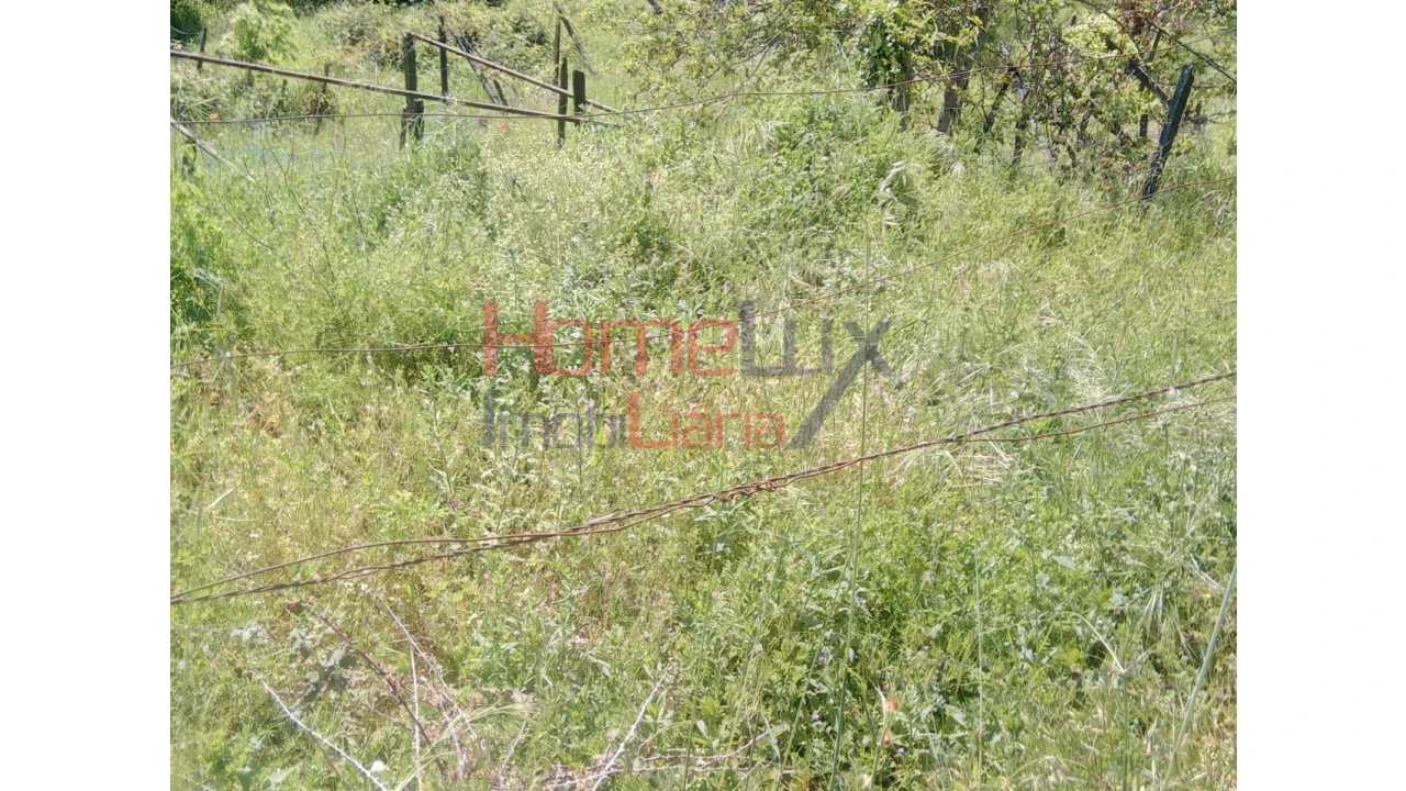 Terreno Agricola ou Rústico para Venda em Avões Foto 5