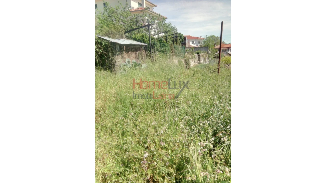 Terreno Agricola ou Rústico para Venda em Avões Foto 2