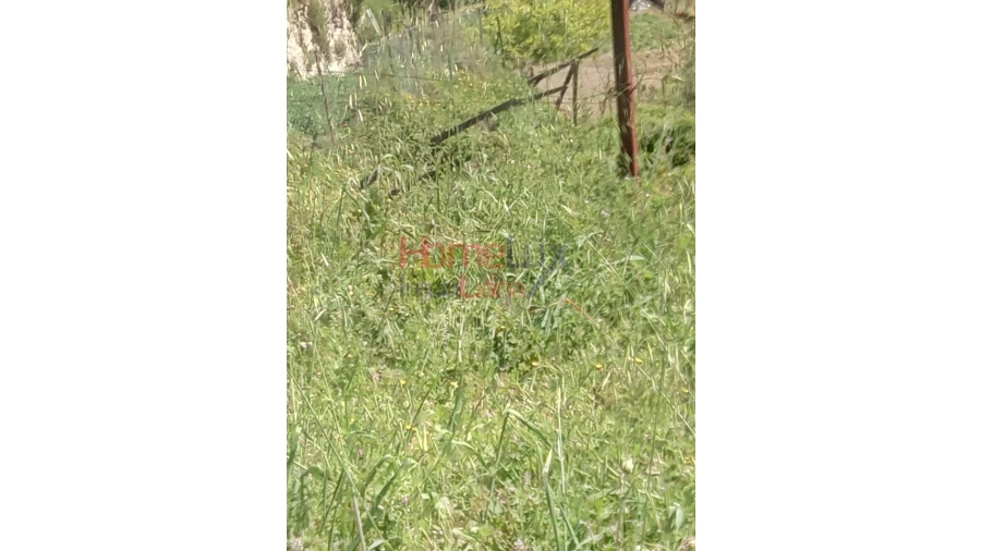 Terreno Agricola ou Rústico para Venda em Avões Foto 4