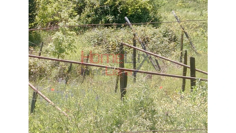 Terreno Agricola ou Rústico para Venda em Avões Foto 3