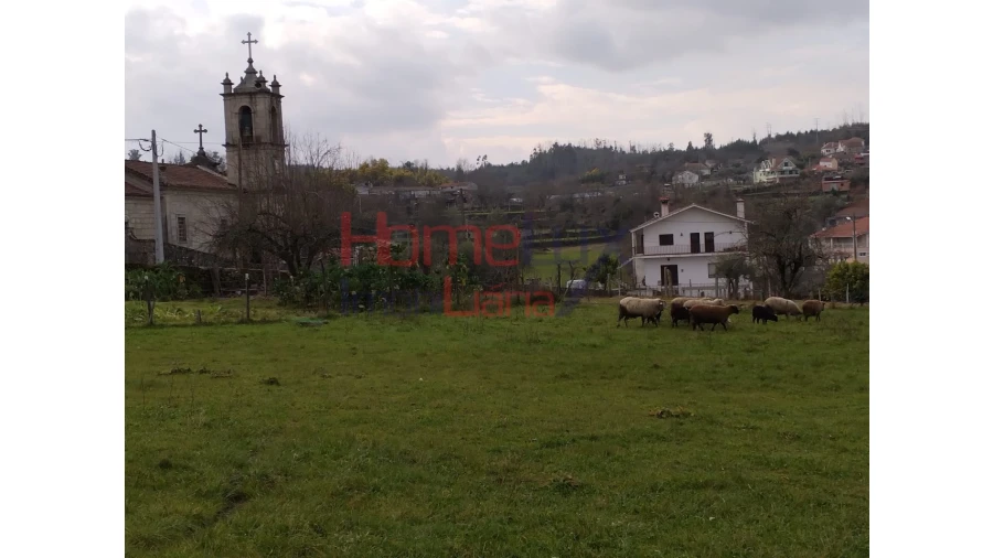 Terreno para Venda em Oliveira de Frades, Souto de Lafões e Sejães