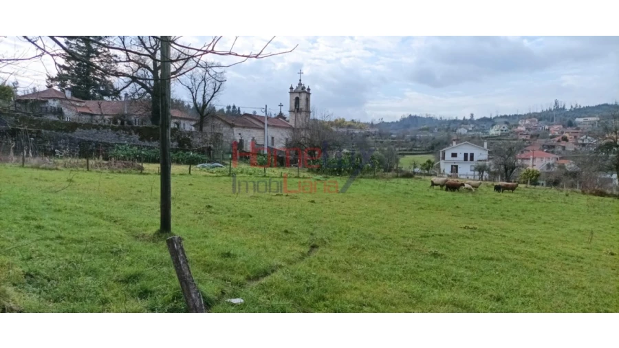 Terreno para Venda em Oliveira de Frades, Souto de Lafões e Sejães Foto 3