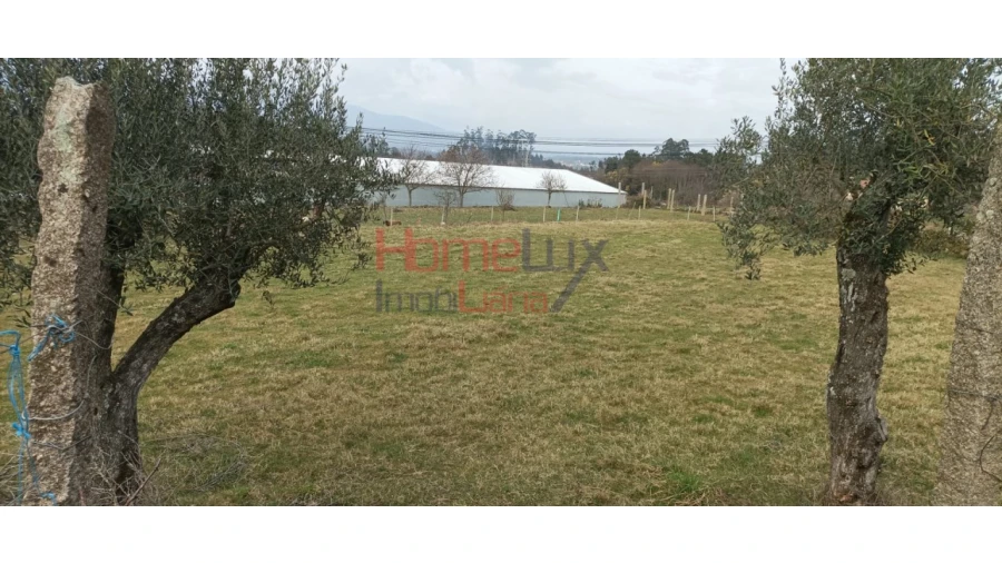 Terreno para Venda em Oliveira de Frades, Souto de Lafões e Sejães Foto 6