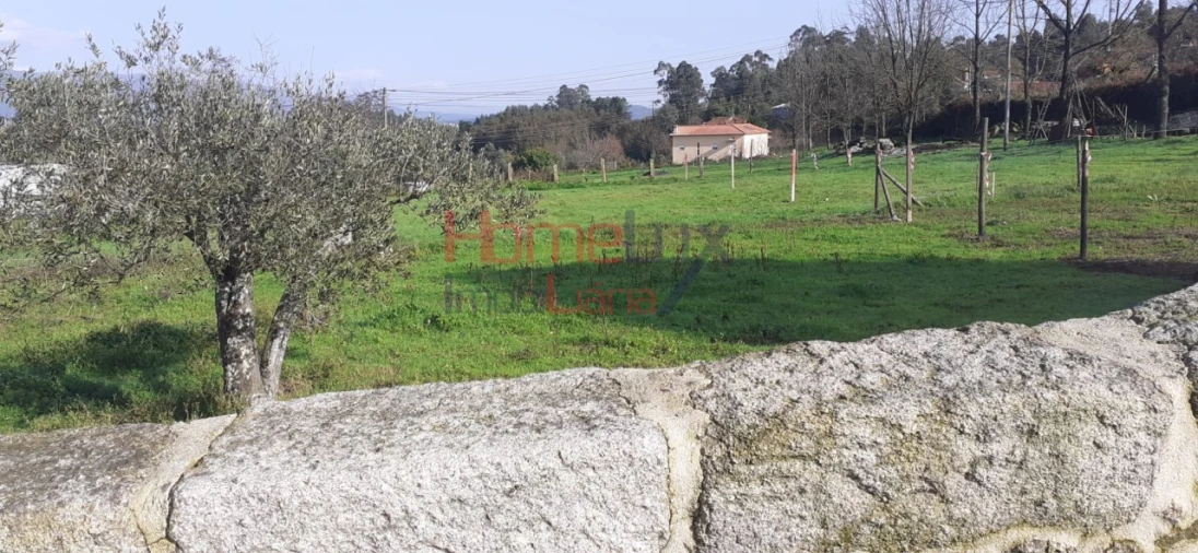 Terreno para Venda em Oliveira de Frades, Souto de Lafões e Sejães Foto 15