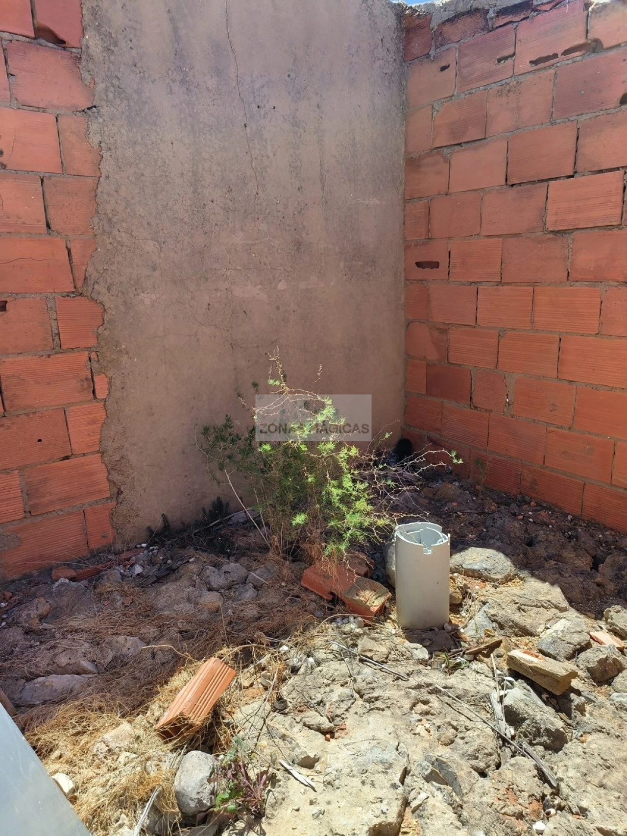Terreno para Venda em Lagos (São Sebastião e Santa Maria) Foto 3