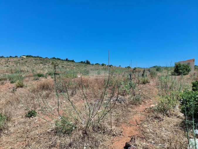 Terreno para Venda em Lagos (São Sebastião e Santa Maria) Foto 4
