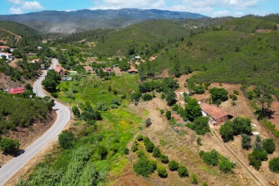 Terreno para Venda em Mexilhoeira Grande
