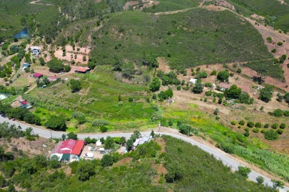 Terreno para Venda em Mexilhoeira Grande