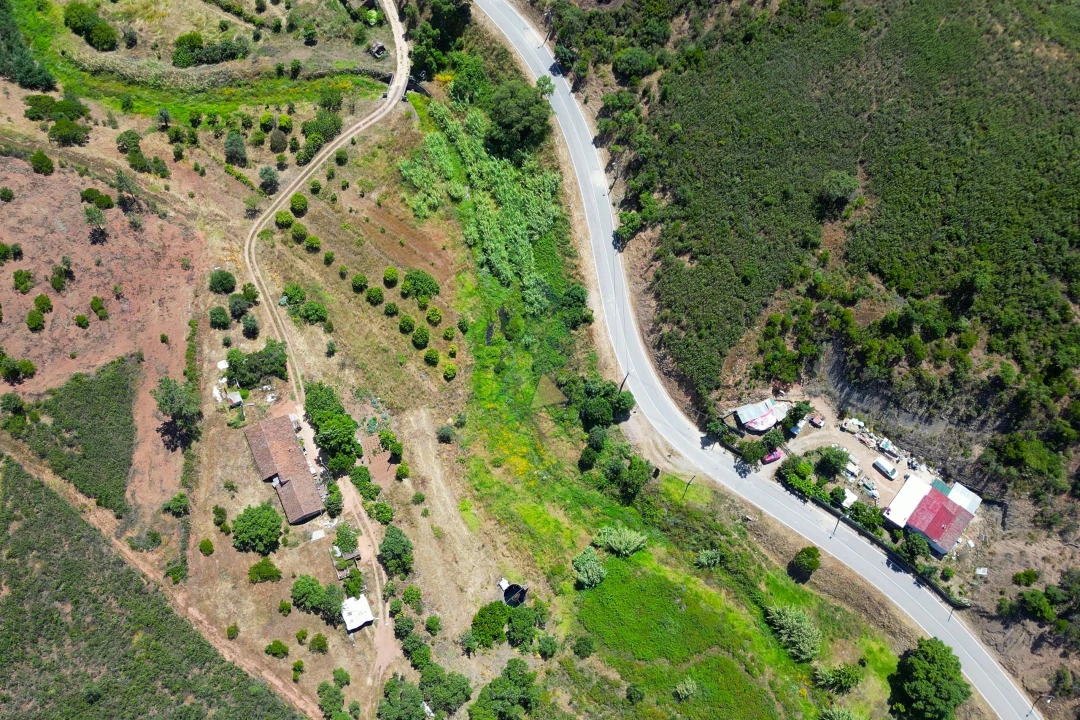 Terreno para Venda em Mexilhoeira Grande Foto 9