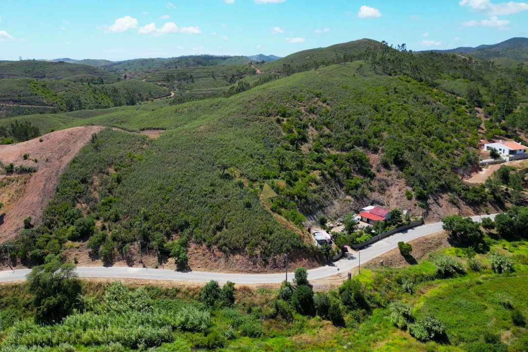Terreno para Venda em Mexilhoeira Grande Foto 2
