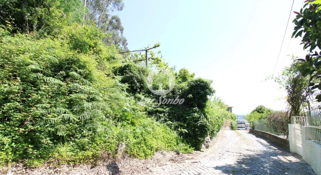 Terreno Agricola ou Rústico para Venda em Vale (São Cosme), Telhado e Portela Foto 1