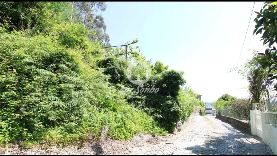 Terreno Agricola ou Rústico para Venda em Vale (São Cosme), Telhado e Portela