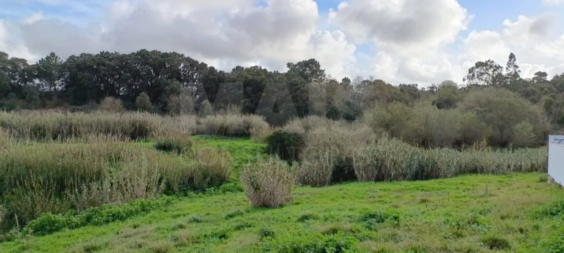 Terreno para Venda em Bombarral e Vale Covo Foto 1