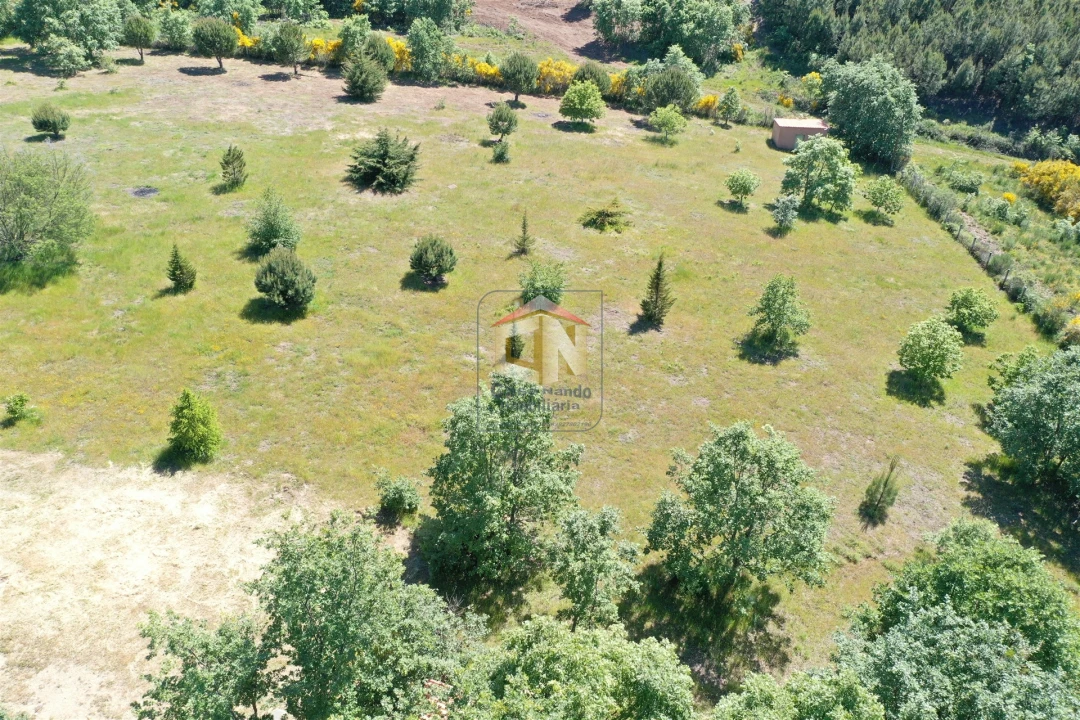 Quinta T5 para Venda em Sabugal e Aldeia de Santo António Foto 13
